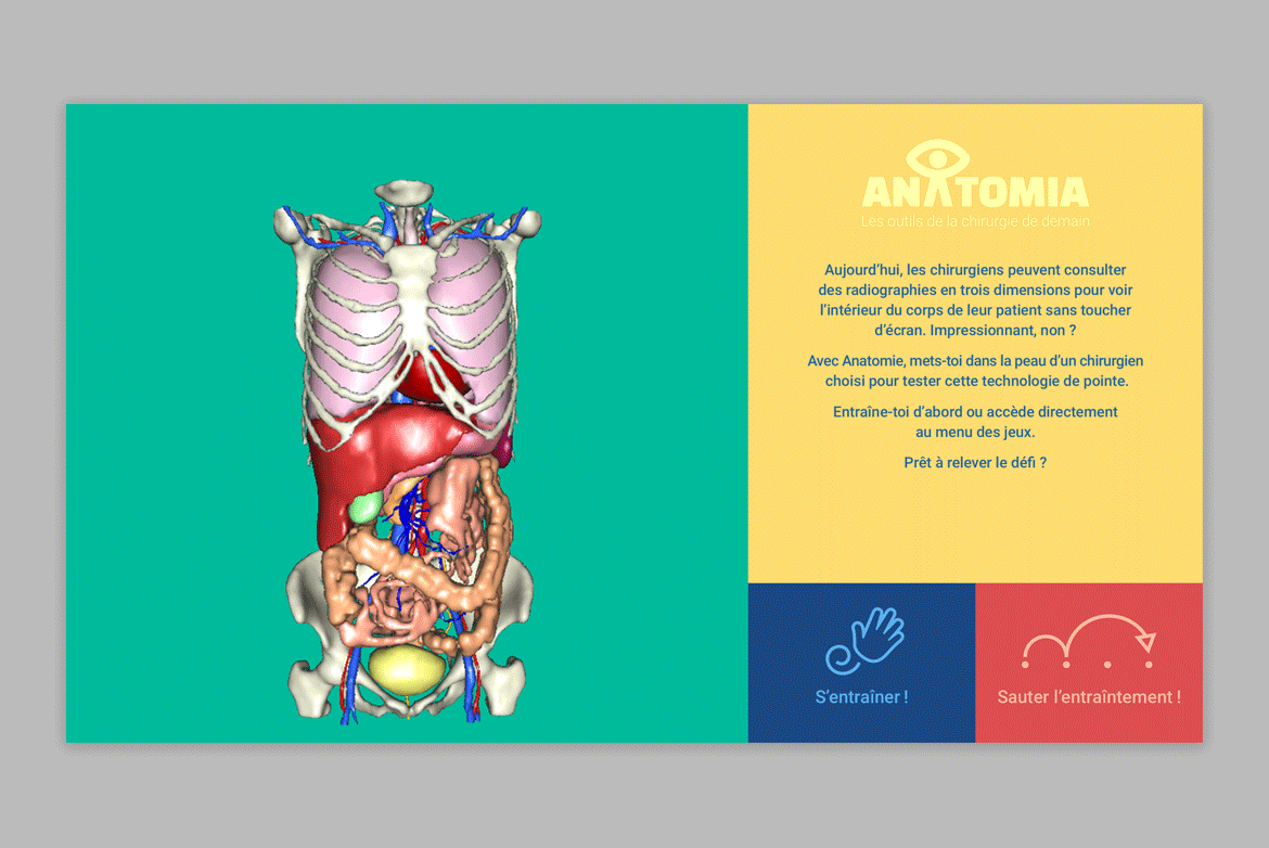 Projet — Anatomia